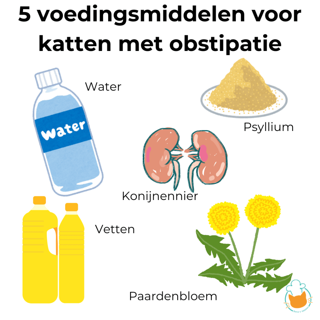 Voeding die katten helpt wanneer zij last hebben van obstipatie.