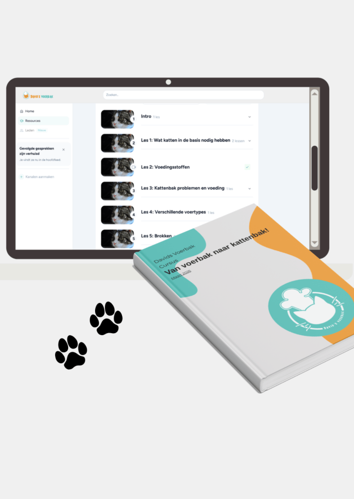 Cursus over kattenvoeding.