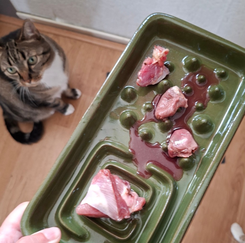 Kat eet vers vlees, voeding met vooral whole foods.